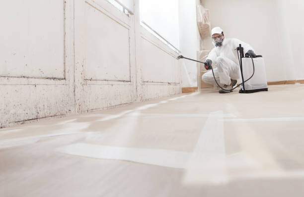 24/7 Emergency Mold Remediation experts in Cary, NC
