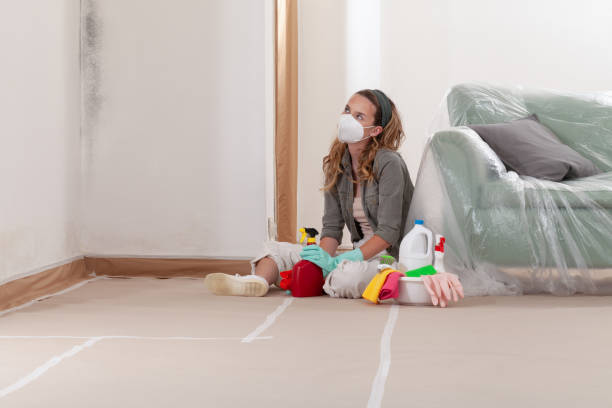 Reliable Mold Remediation contractor in Cary, NC by Mold Remediation HQ