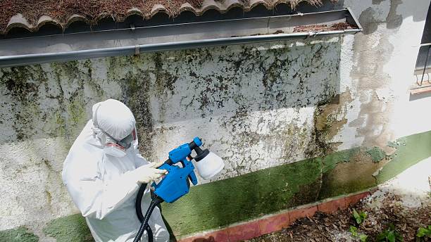 Top rated local Mold Remediation specialists in Cary, NC
